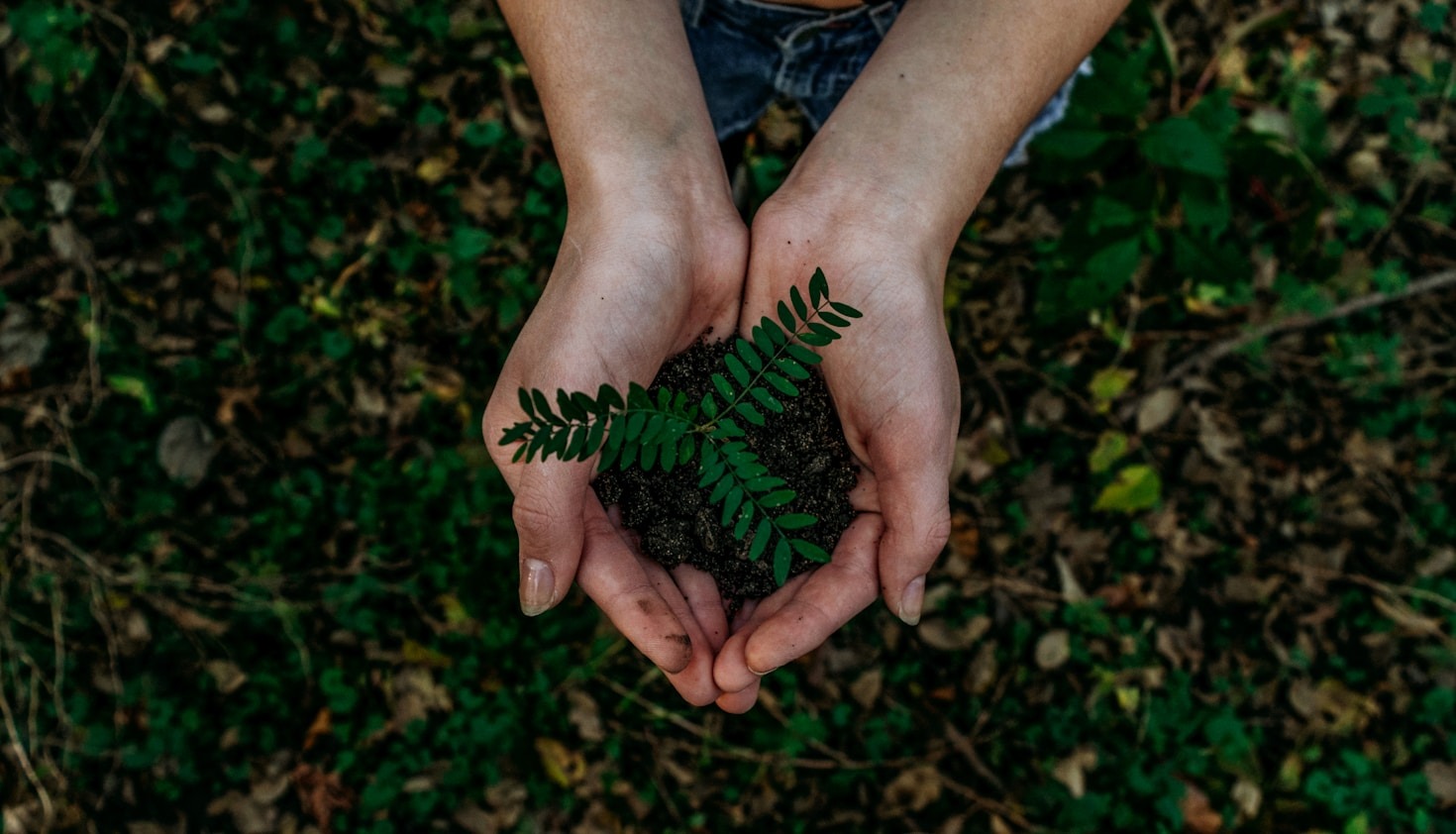 Parcours d&rsquo;insertion : témoignages de nos collaborateurs